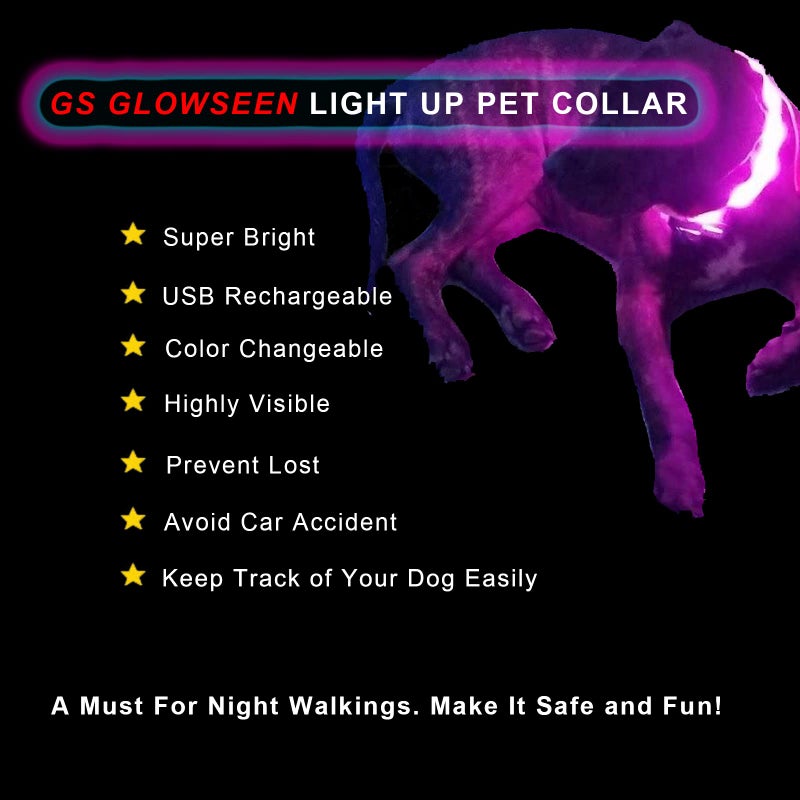 GS GLOWSEEN Led Dog Collar Rechargeable USB-C, Super Bright Multi-Color Light Up Collar, Weatherproof Lighted Safety Dog Collar Light for Night Walking,Size Cuttable for Large Medium Small Dogs - Image 3